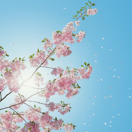 /spirio/spirio_spotlight/april-2022