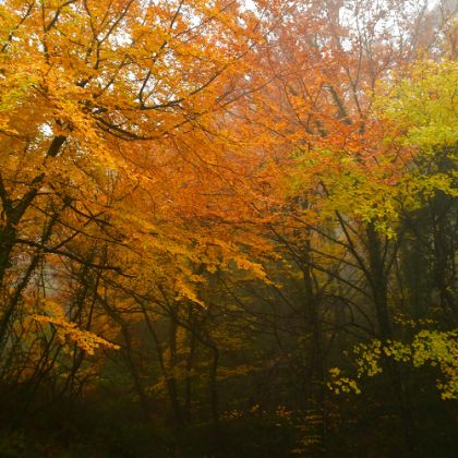 /spirio/spirio_spotlight/october-2025