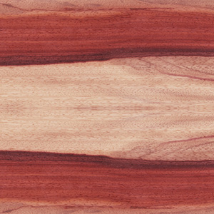 Padauk